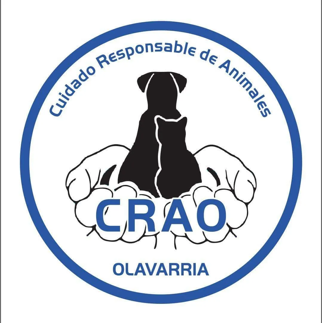 326735169_3316043208709228_1617163594383487236_n