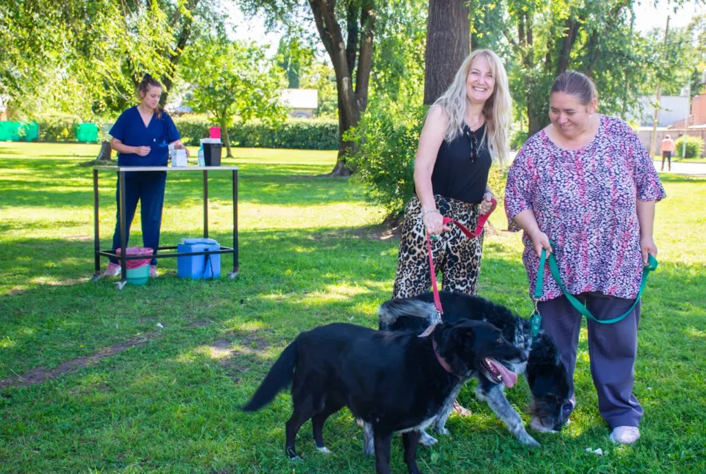 Antirrabica-Parque-Eseverri-1024x688 (1)