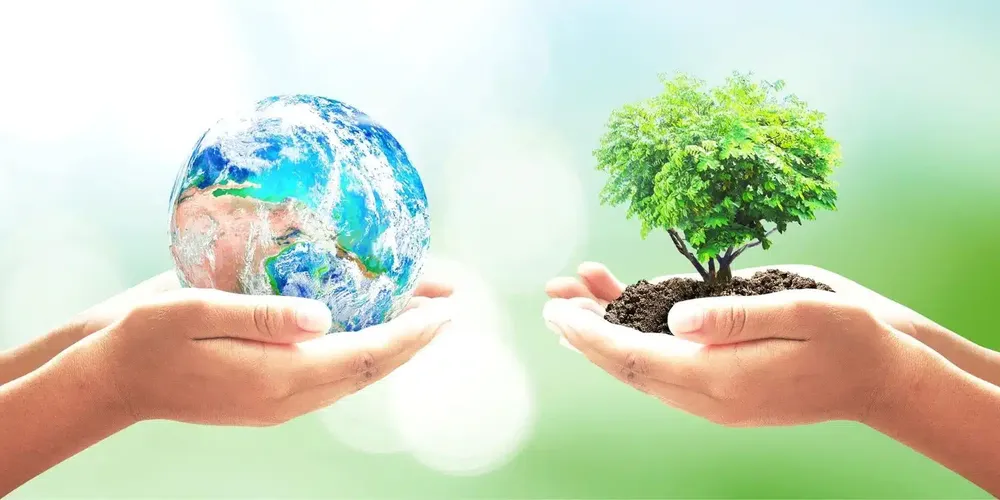 apaisada-dia.mundial-medioa-ambiente-scaled.jpg