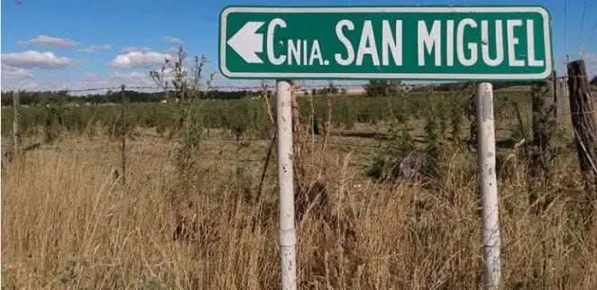 FB_IMG_1749468097516