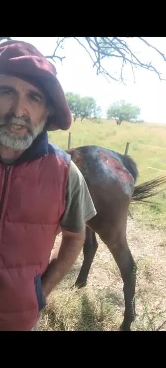 Screenshot_2025-12-20-21-33-50-230_com.whatsapp