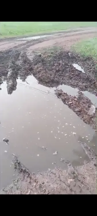 Screenshot_20250417-164920