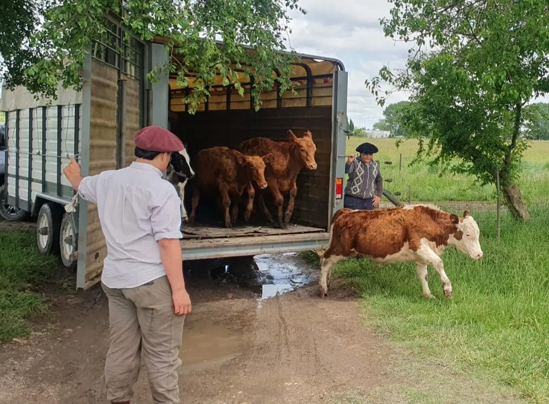 Recuperacion-animales-la-maxima-comodato-10