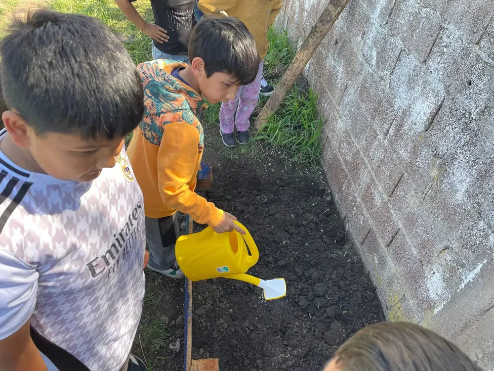 Manos-a-la-tierra-huerta-3