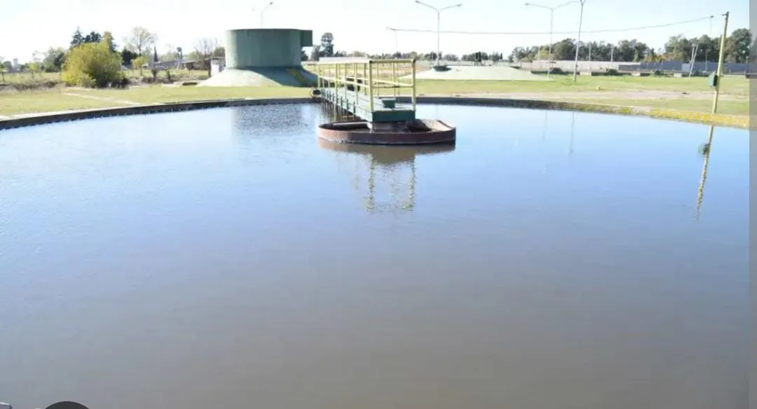 IMG-20250621-WA0019(1)