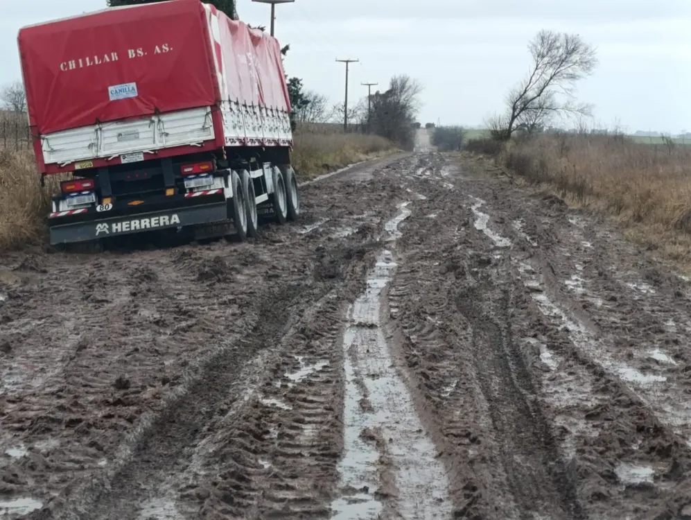 Proteccion-Ciudadana-Infraccion-Colonia-Nievas