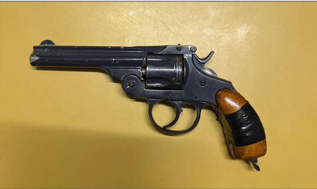 58c1517c-aad9-4b0f-96f9-42664b43e4c9