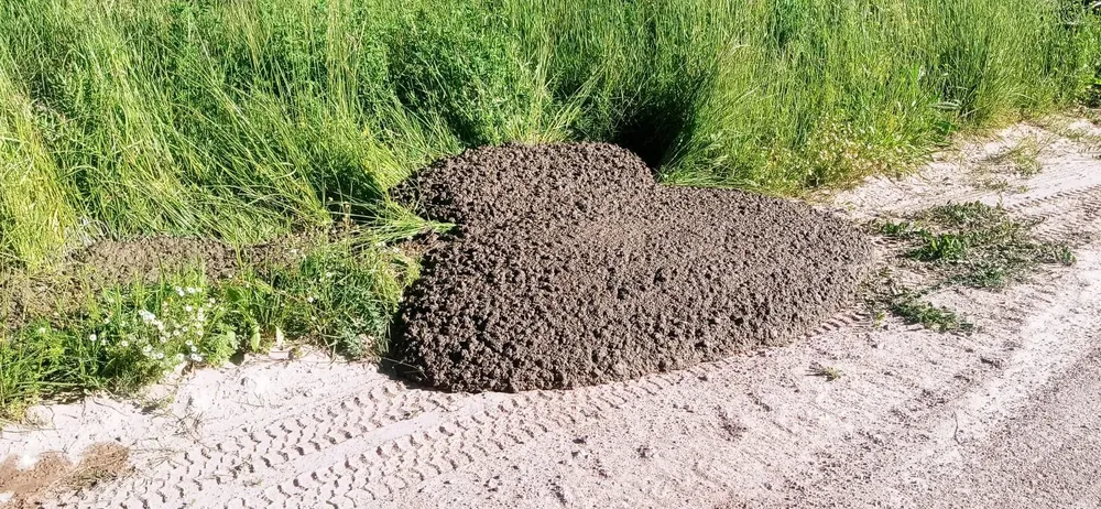 Residuos-Proteccion-Ciudadana-01