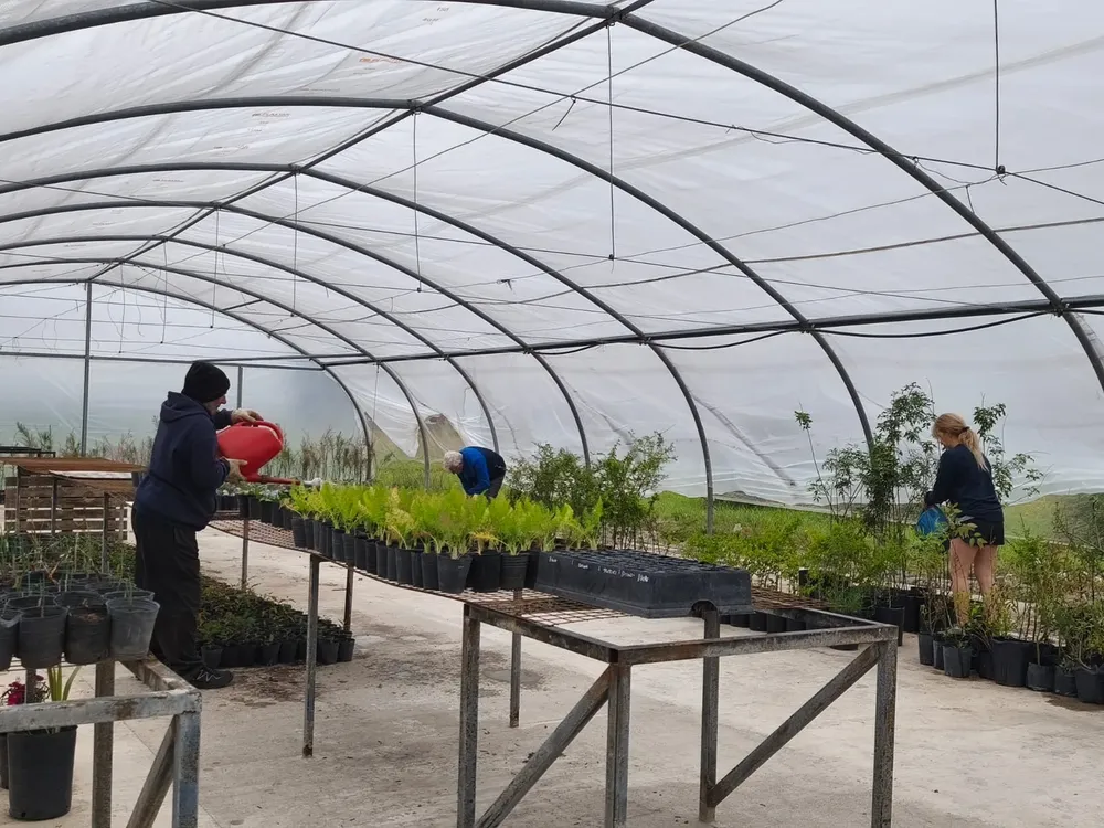 Forestador-Vivero-Municipal-2