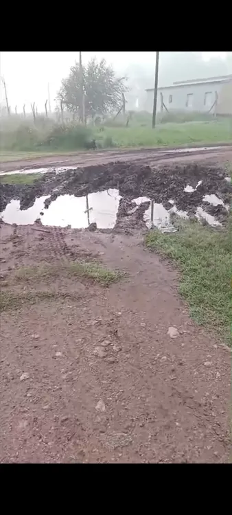 Screenshot_20250417-164923