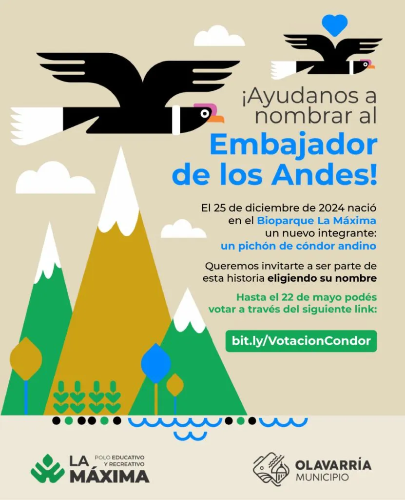Concurso-Condor-831x1024