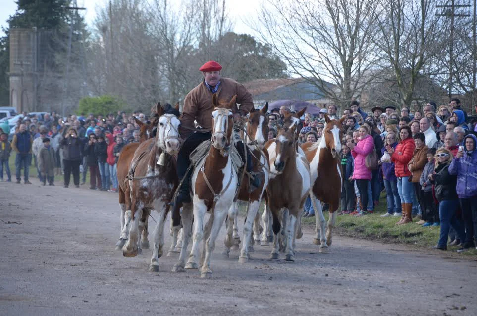 Fiesta-del-caballo1