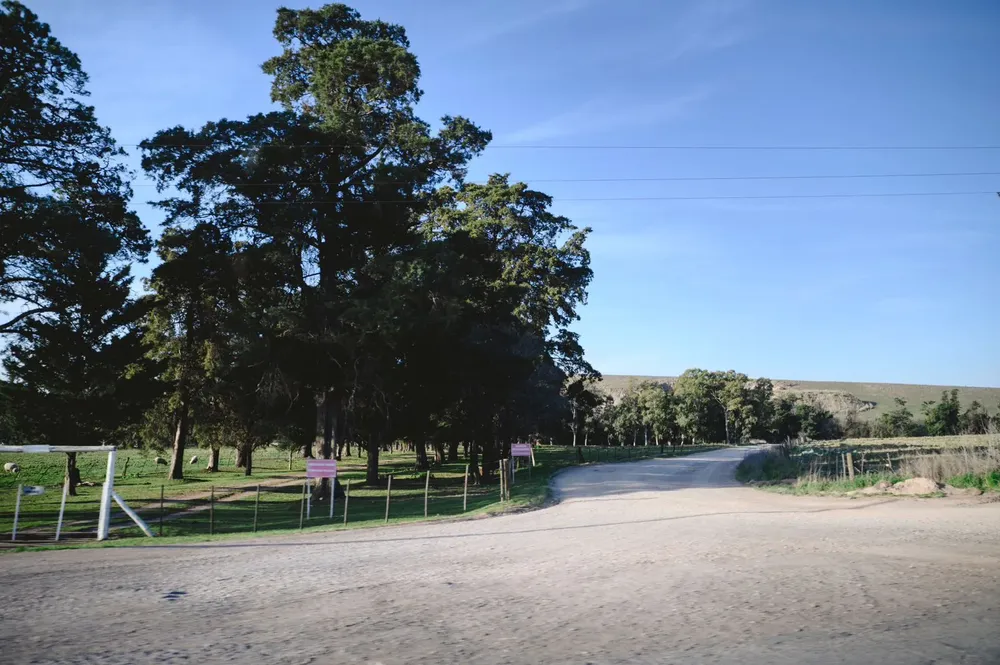 18667cc3-ee0c-4232-b2bf-32a4d2046a8c (1)