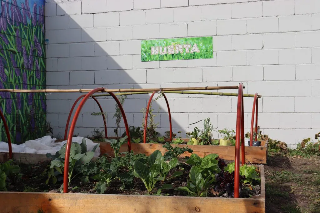 Plantacion-Jardin-Belen-1-1024x682