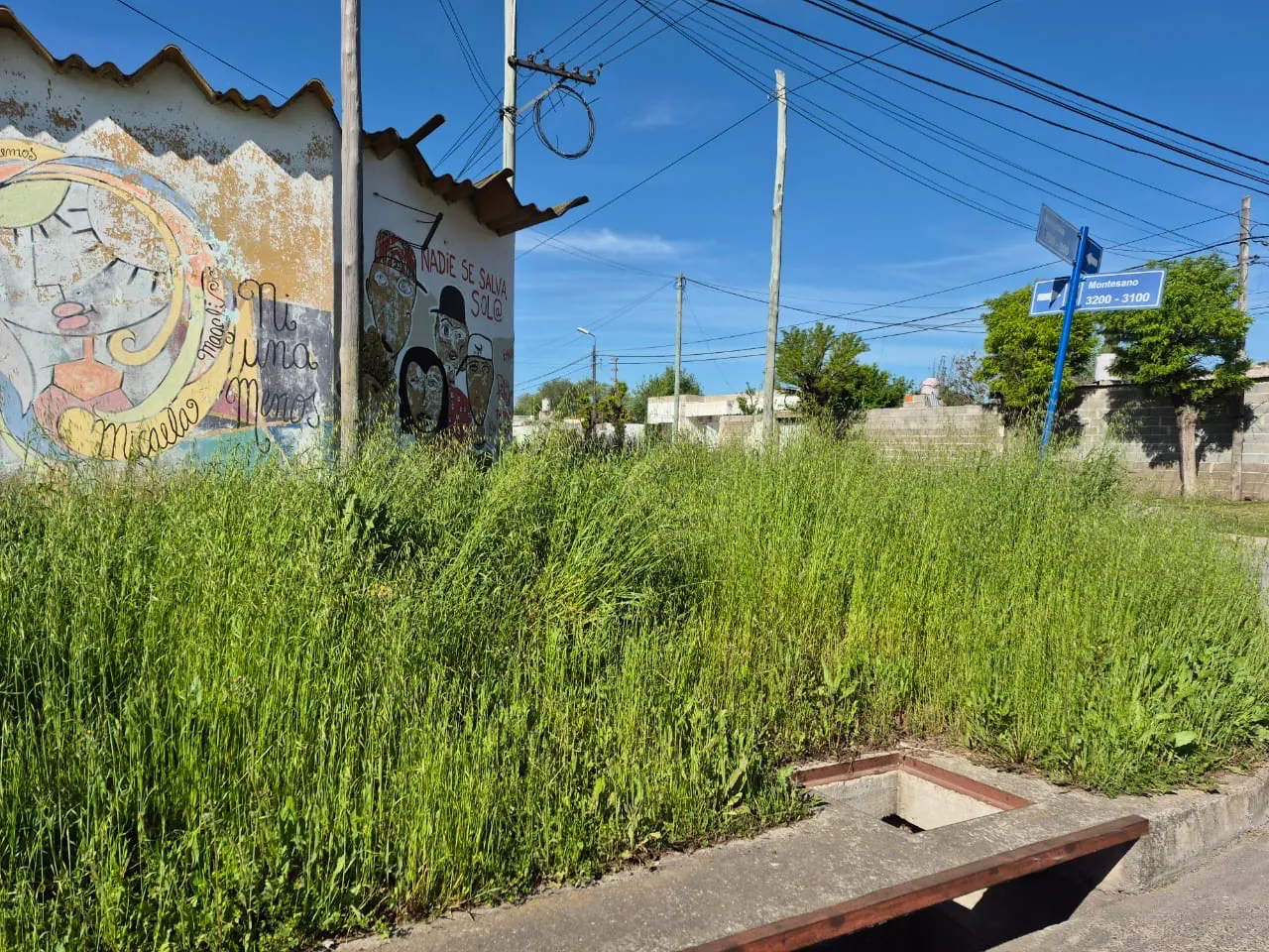 1a45a248-b752-4d23-afba-7d3a2c6b054c